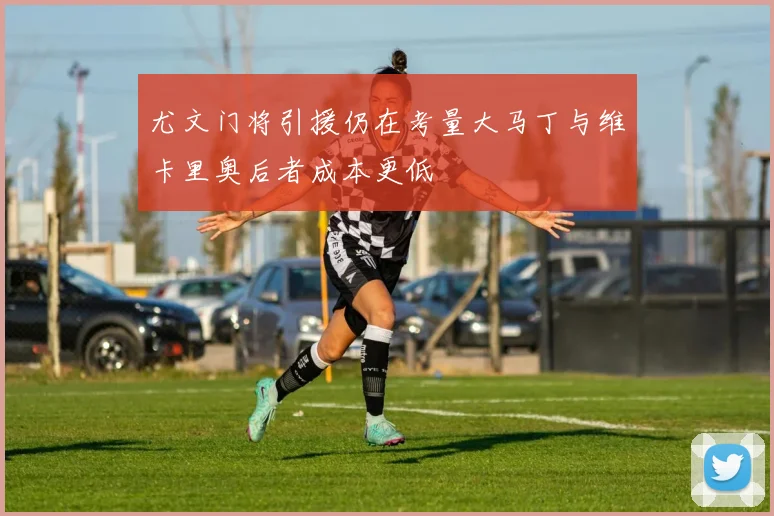 尤文门将引援仍在考量大马丁与维卡里奥后者成本更低
